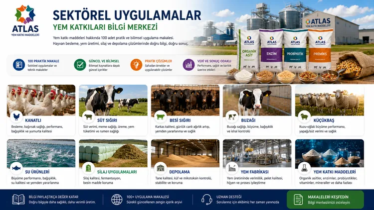 Orta Zincirli Yağ Asitleri ve Monogliseritler